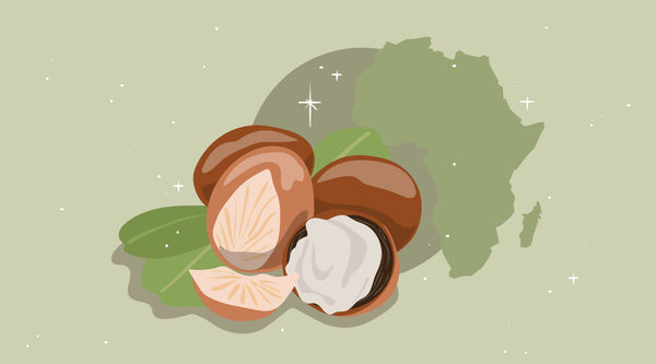 What Is Shea Butter & Why Is It Good For Your Skin?