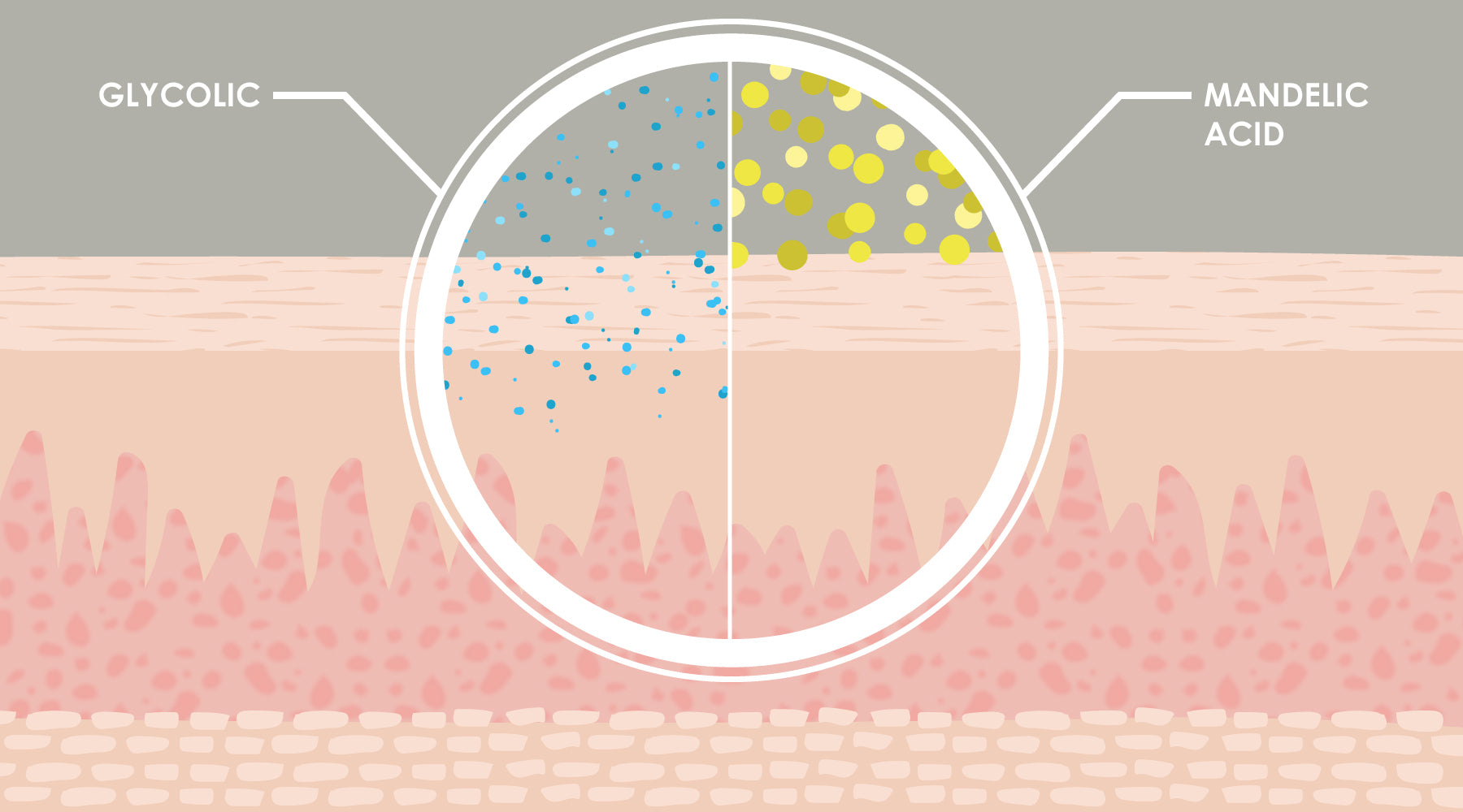 Lactic Acid in Skincare Top Benefits & Products Beauty Affairs AU