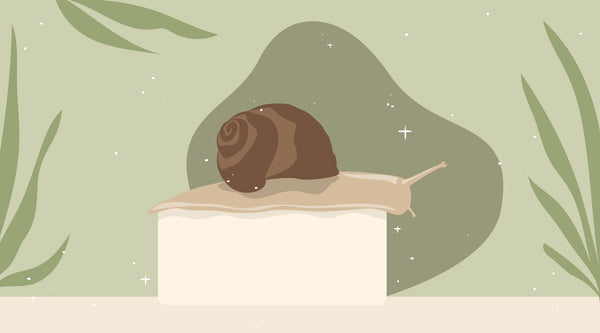 5 Surprising Snail Mucin Benefits For Your Skin