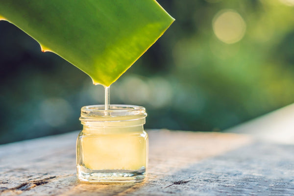 4 Major Benefits of Aloe Vera for Skin