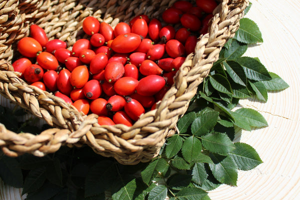 Rosehip Oil: Vitamins, Skin Benefits & Uses